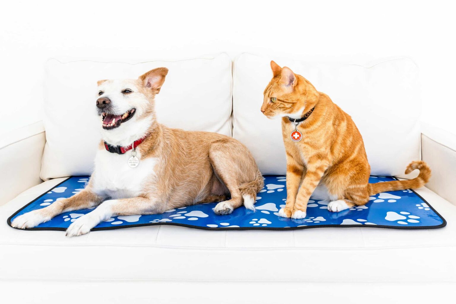 Best Pet Feeding Mats Online